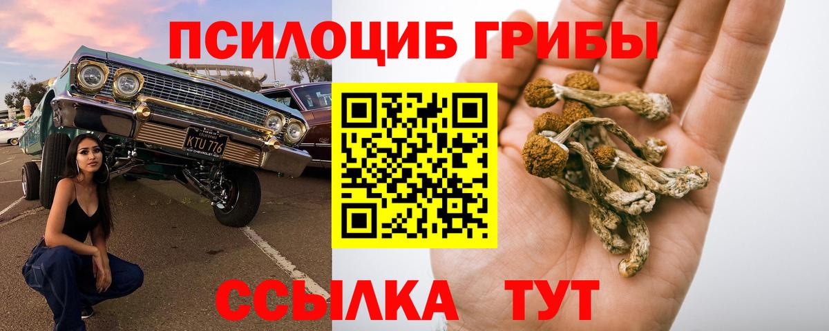 Галлюциногенные грибы GOLDEN TEACHER Апатиты