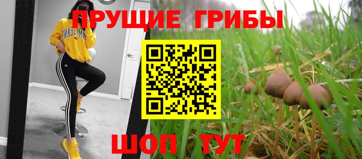 Апатиты  Псилоцибиновые грибы Cubensis  Галлюциногенные грибы Cubensis  Вход с VPN 