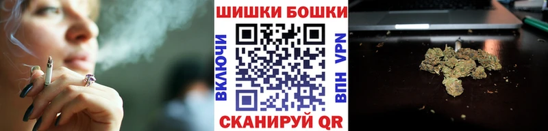 наркота  Апатиты  Каннабис сатива 