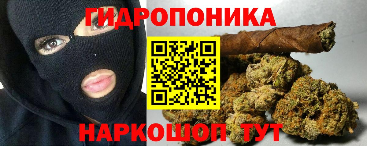 Канабис индика Апатиты